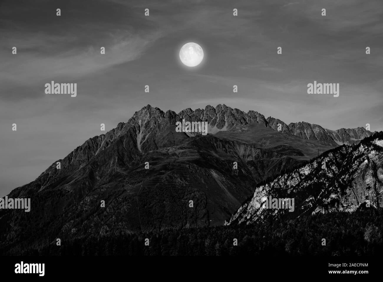 Berge und Bäume in Schwarz und Weiß Stockfoto