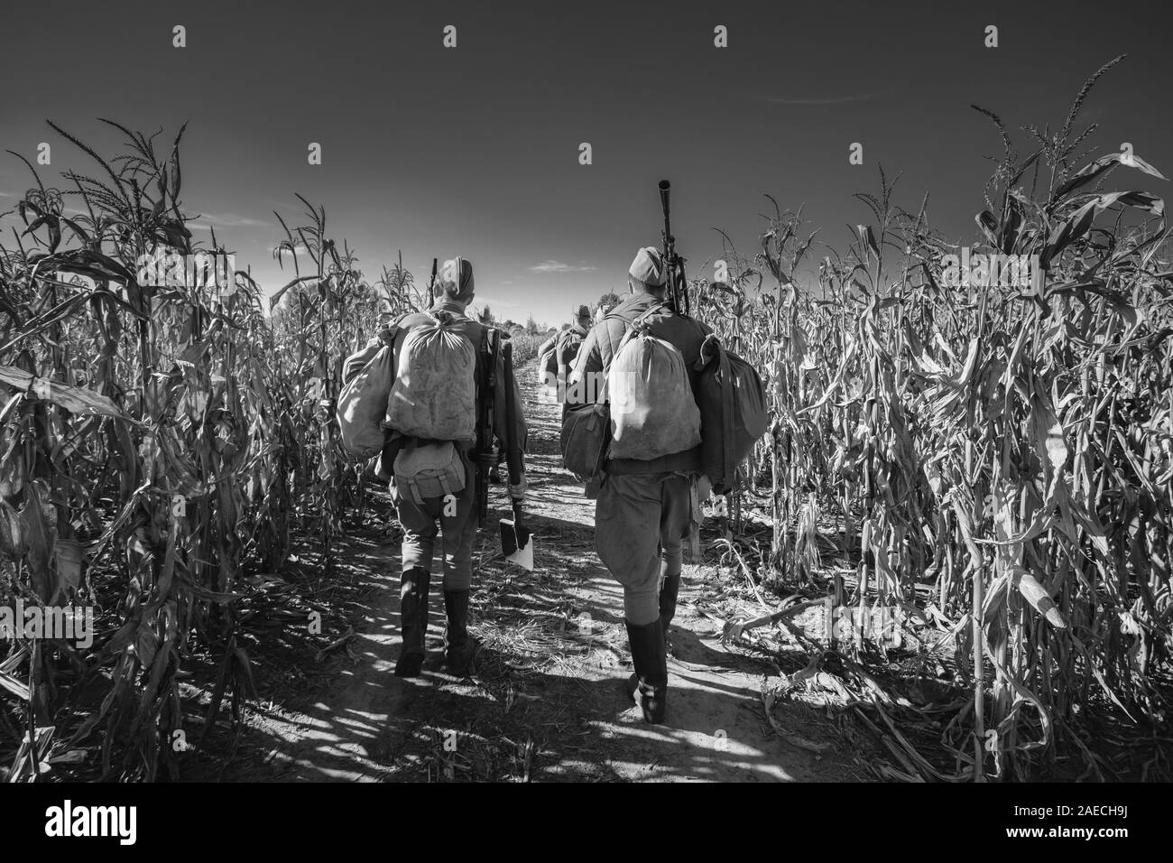 Gruppe von nicht identifizierten Reenactor verkleidet als russische Sowjetsoldaten mitzieht Feldweg. Stockfoto