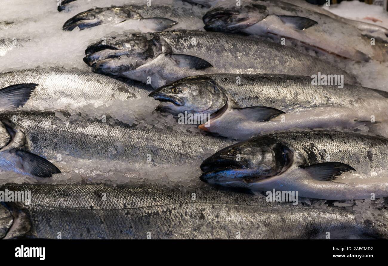 Frischer Lachs zum Verkauf in Seattle Pike Place Market Stockfoto
