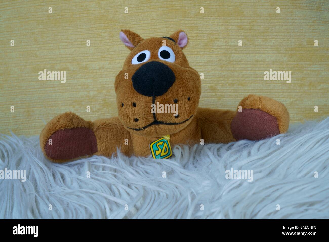 Ein Porträt von Scooby doo Kuscheltier. Stockfoto