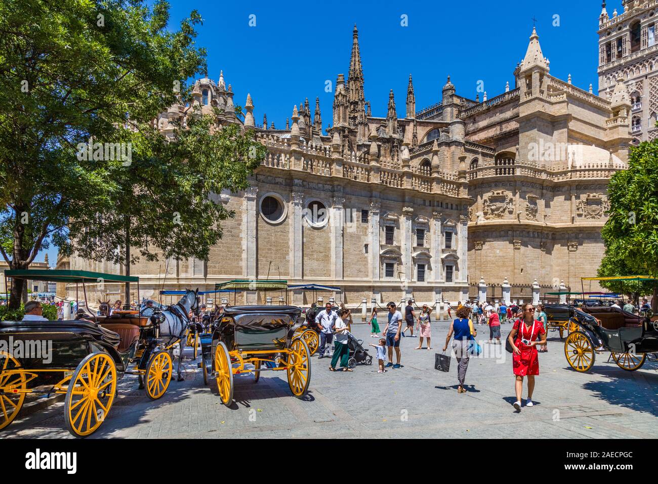 Die Kathedrale von Sevilla Spanien ist die größte christliche Gotische Kathedrale in der Welt Stockfoto