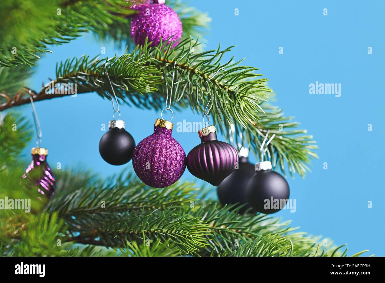 In der Nähe von schönen lila Glas baum Christbaumkugel mit geschmückten Weihnachtsbaum mit anderen saisonalen Baumschmuck auf hellen Hintergrund bue Stockfoto