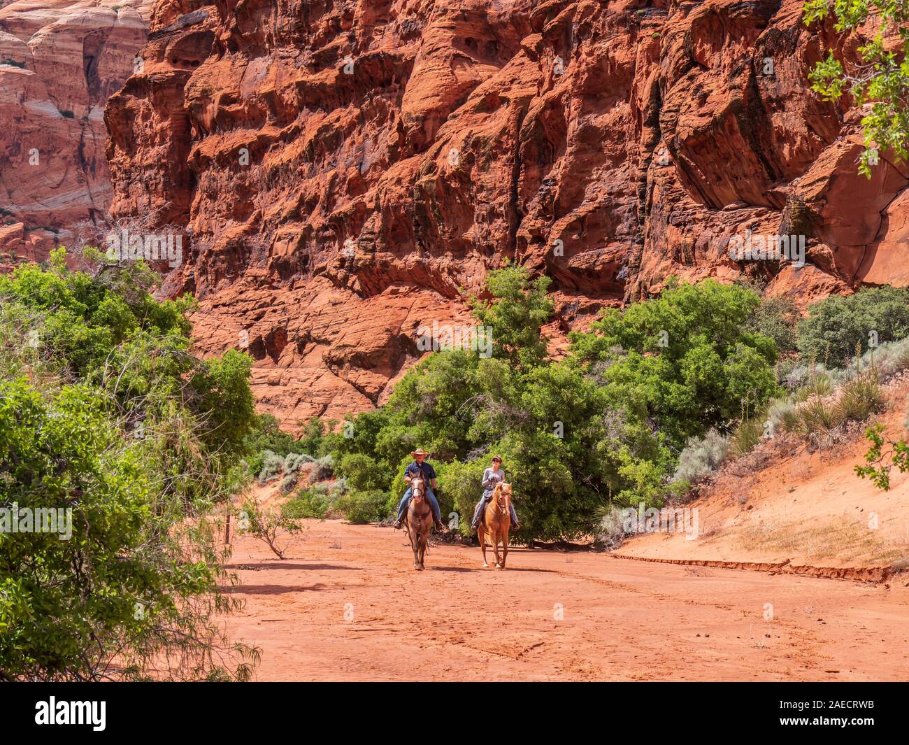 Reiterinnen und Reiter, Red Sands Trail, Snow Canyon State Park, St. George, Utah. Stockfoto