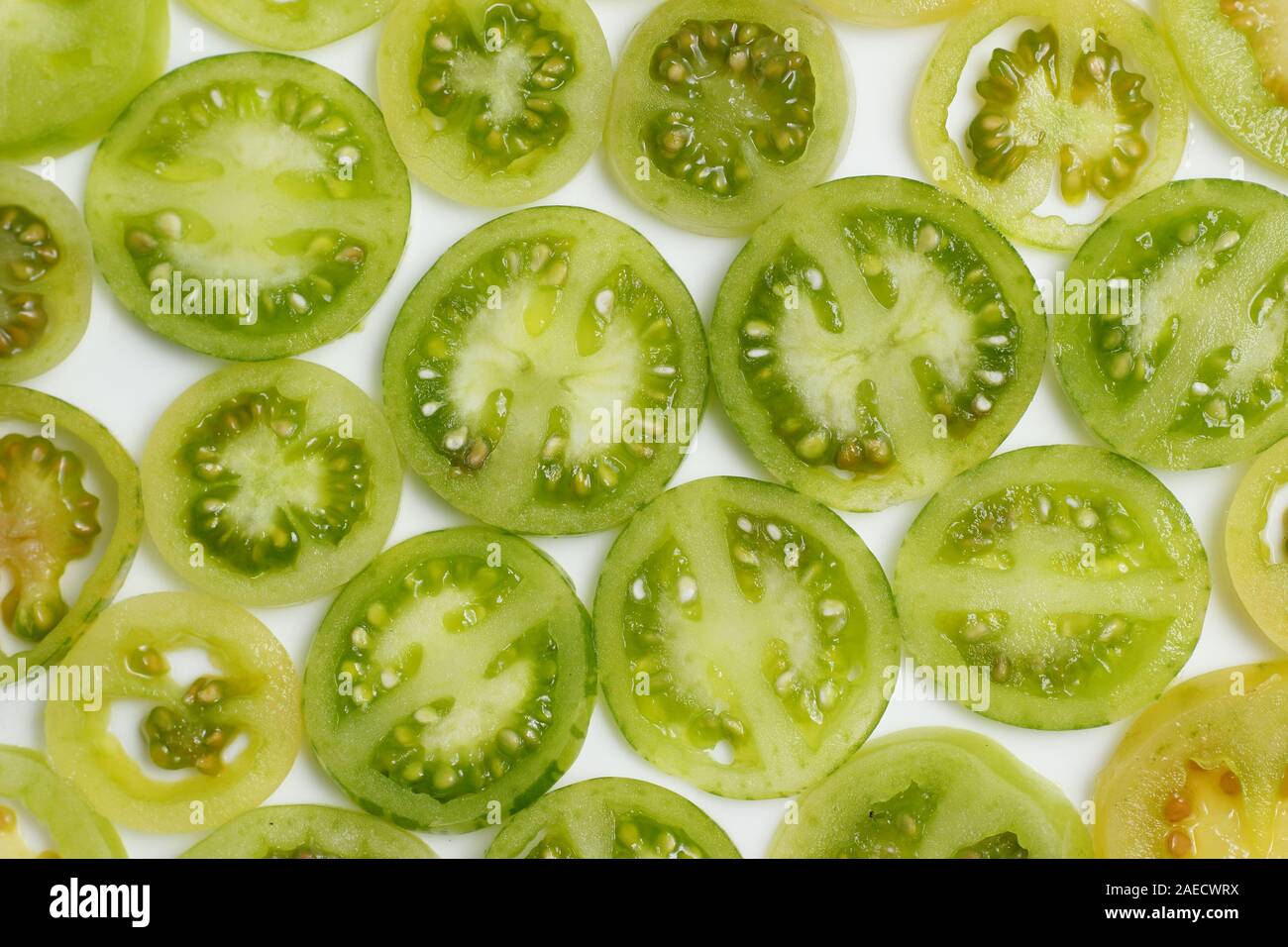 Solanum Lycopersicum. Scheiben von Unreife, grüne Tomaten auf weißem Hintergrund. Stockfoto