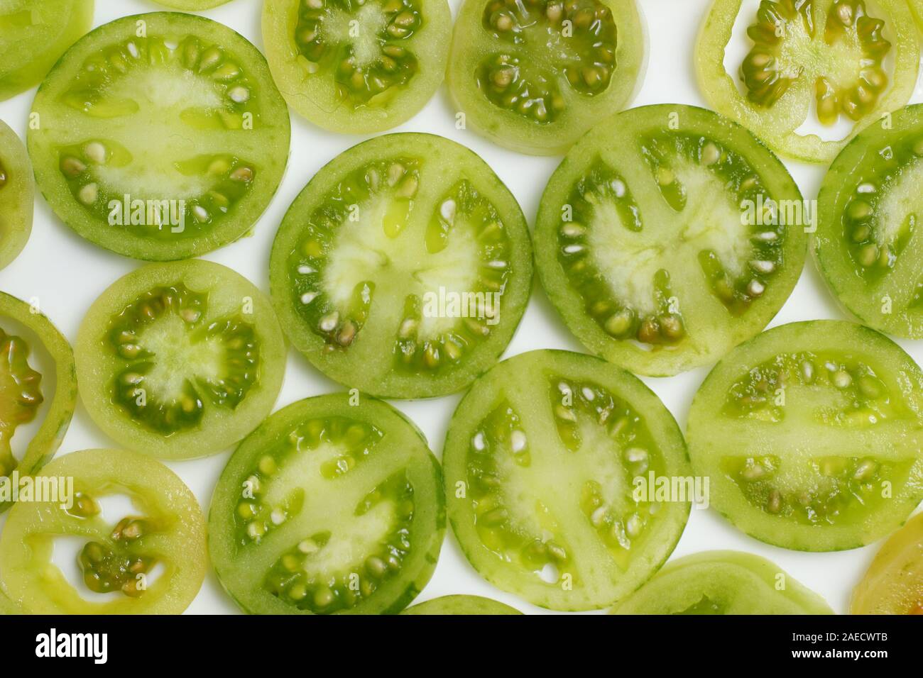 Solanum Lycopersicum. Scheiben von Unreife, grüne Tomaten auf weißem Hintergrund. Stockfoto