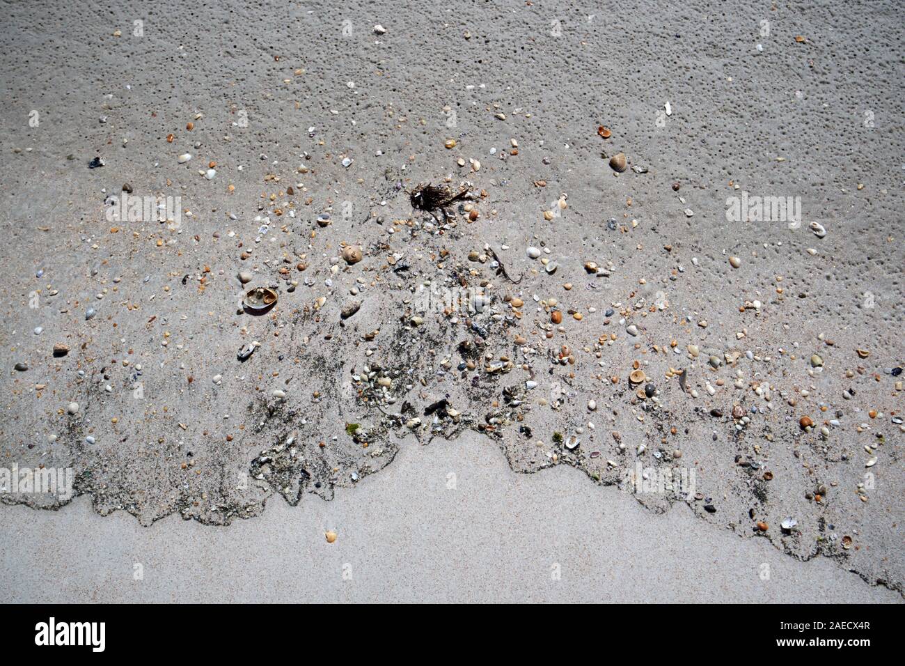 Wasser über Sand am Strand verlassen kleine Muschelstücke und Steine Marineland florida usa zurückziehen Stockfoto