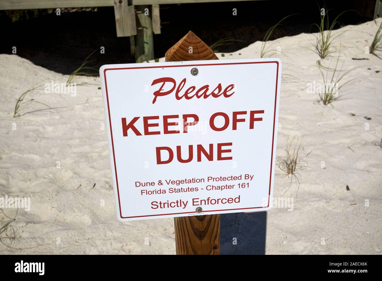 Bitte halten Sie an der Düne Zeichen auf geschützten Dünen und Vegetation Marineland florida usa Stockfoto