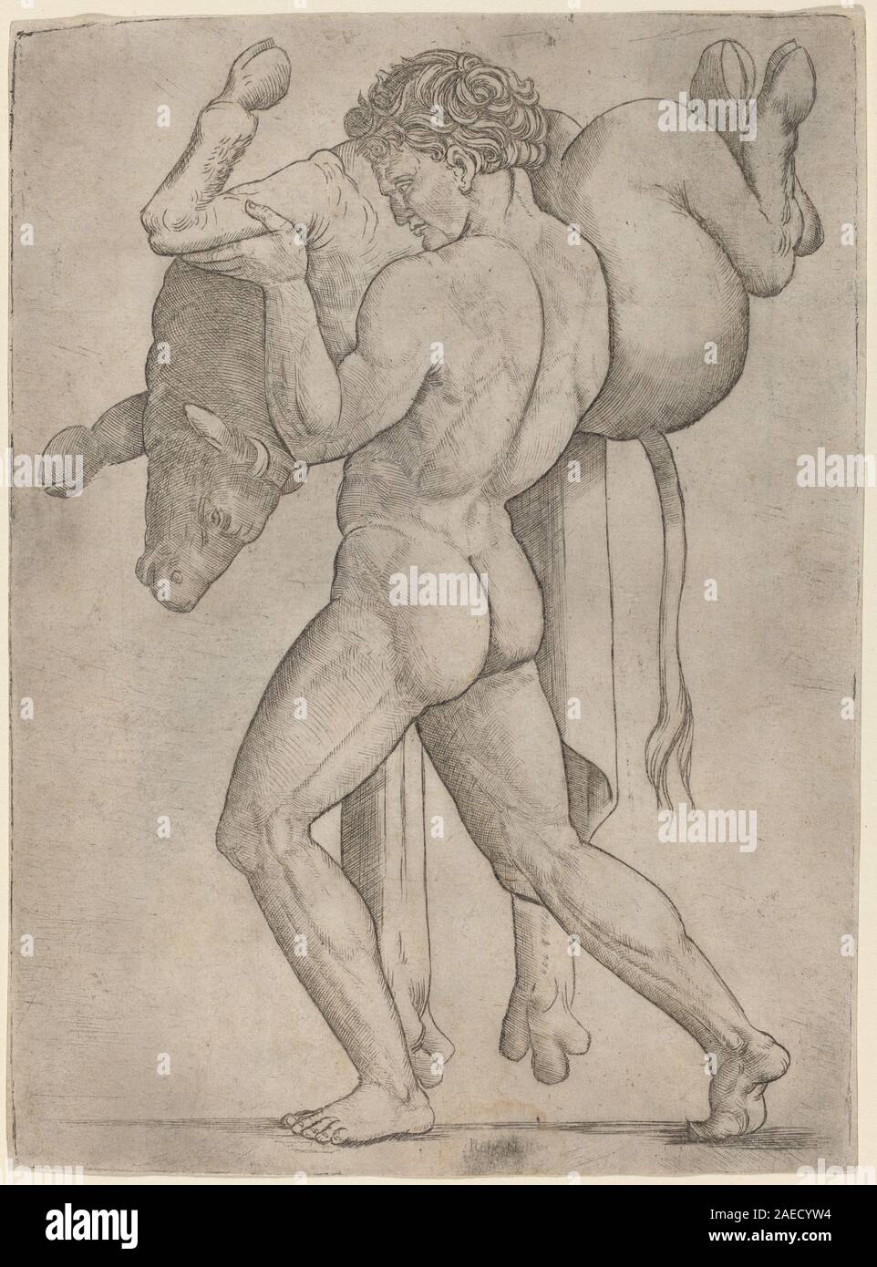 Giovanni Antonio da Brescia, Herkules und den kretischen Stier, c 1514-1515 Herkules und den kretischen Stier; C. 1514/1515 Stockfoto