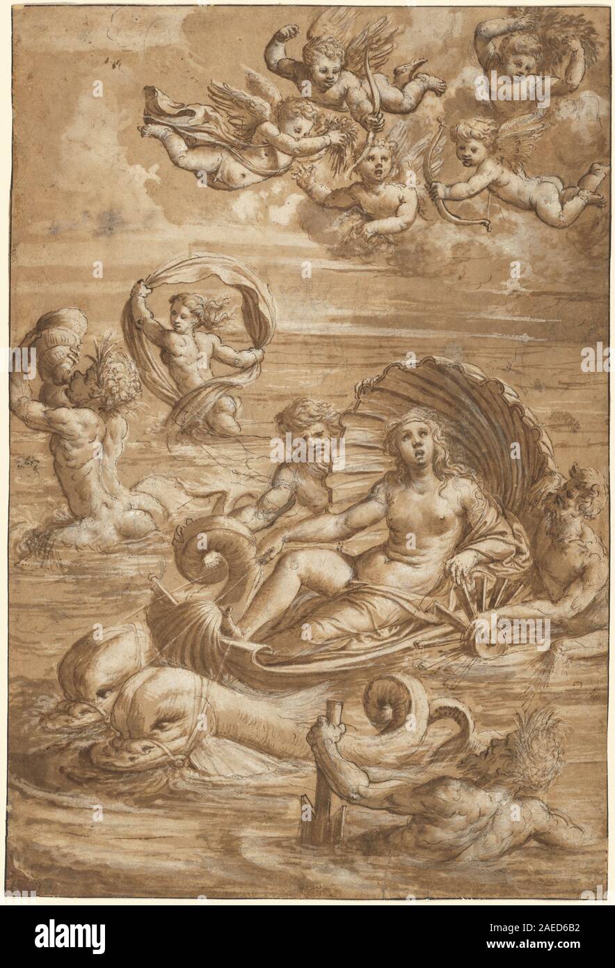 Girolamo da Treviso II, den Triumph der Galatea, c 1535 Der Triumph der Galatea; c. 1535 Stockfoto