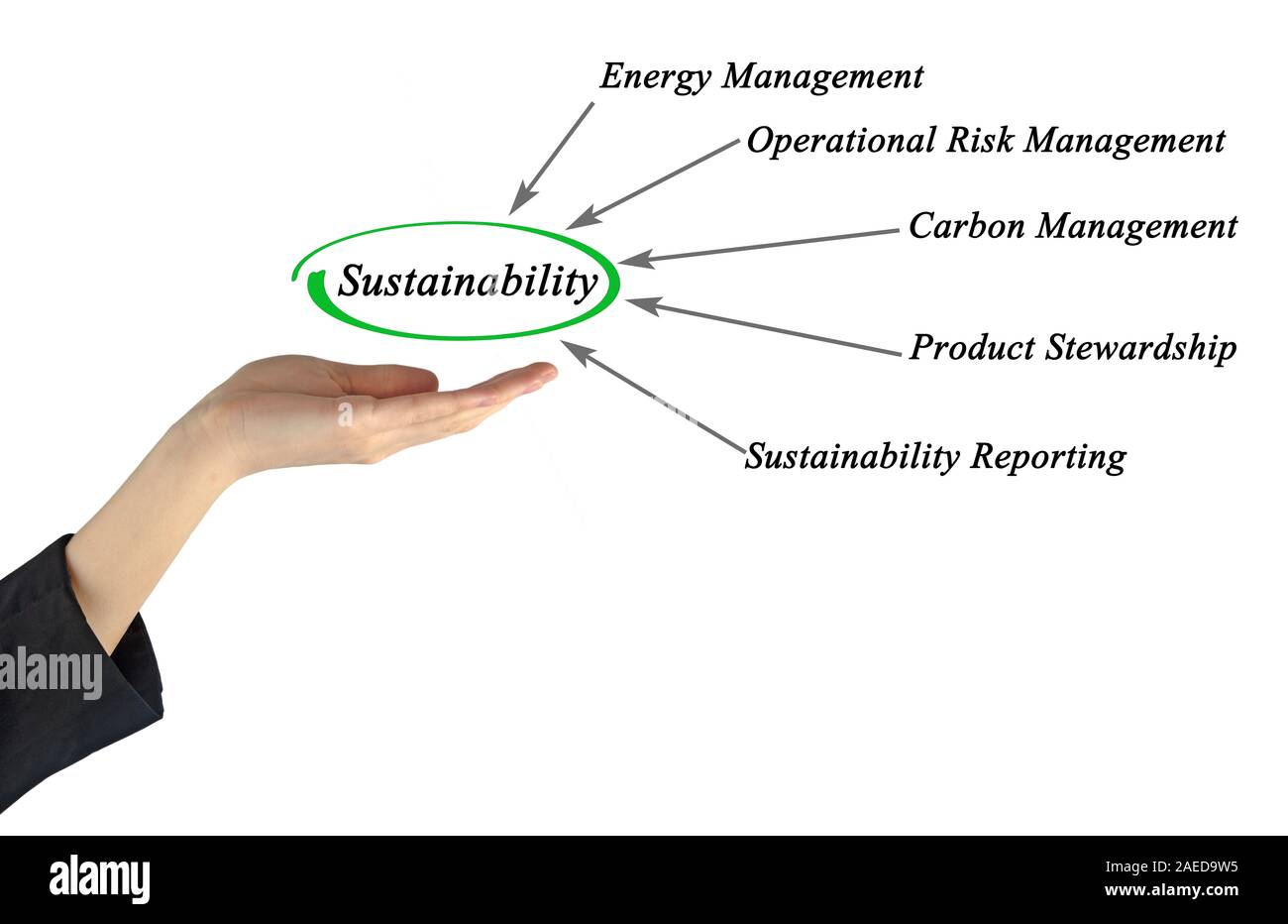Diagramm der nachhaltigen Entwicklung Stockfoto
