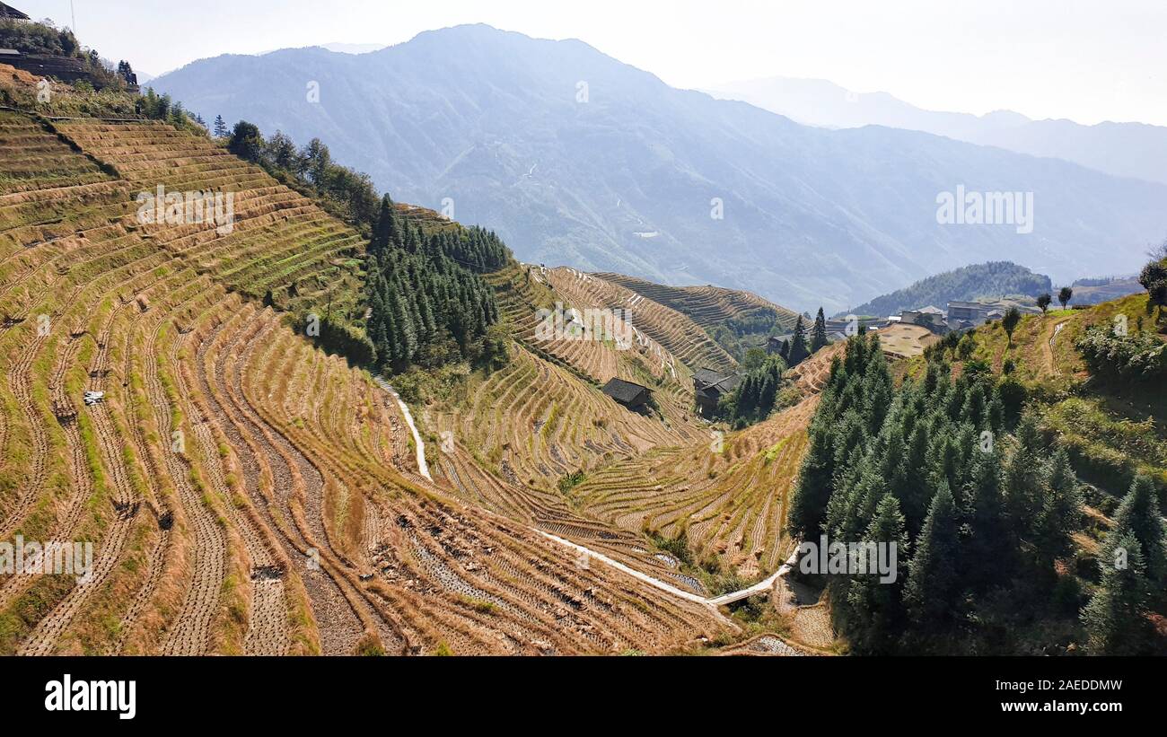 Die Landschaft wellig Longsheng Reisterrassen nach der Ernte - Nord Guillin, Guangxi Provinz, China Stockfoto