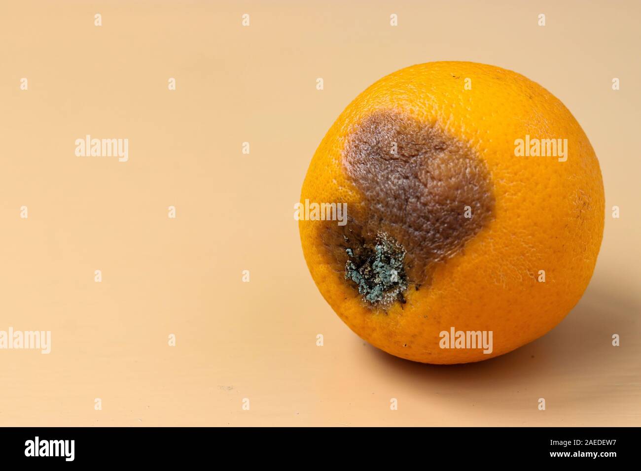 Hässliche orange mit Schimmel auf hellen Hintergrund, Nahaufnahme, horizontale Ausrichtung, Hässliches Essen consept Stockfoto