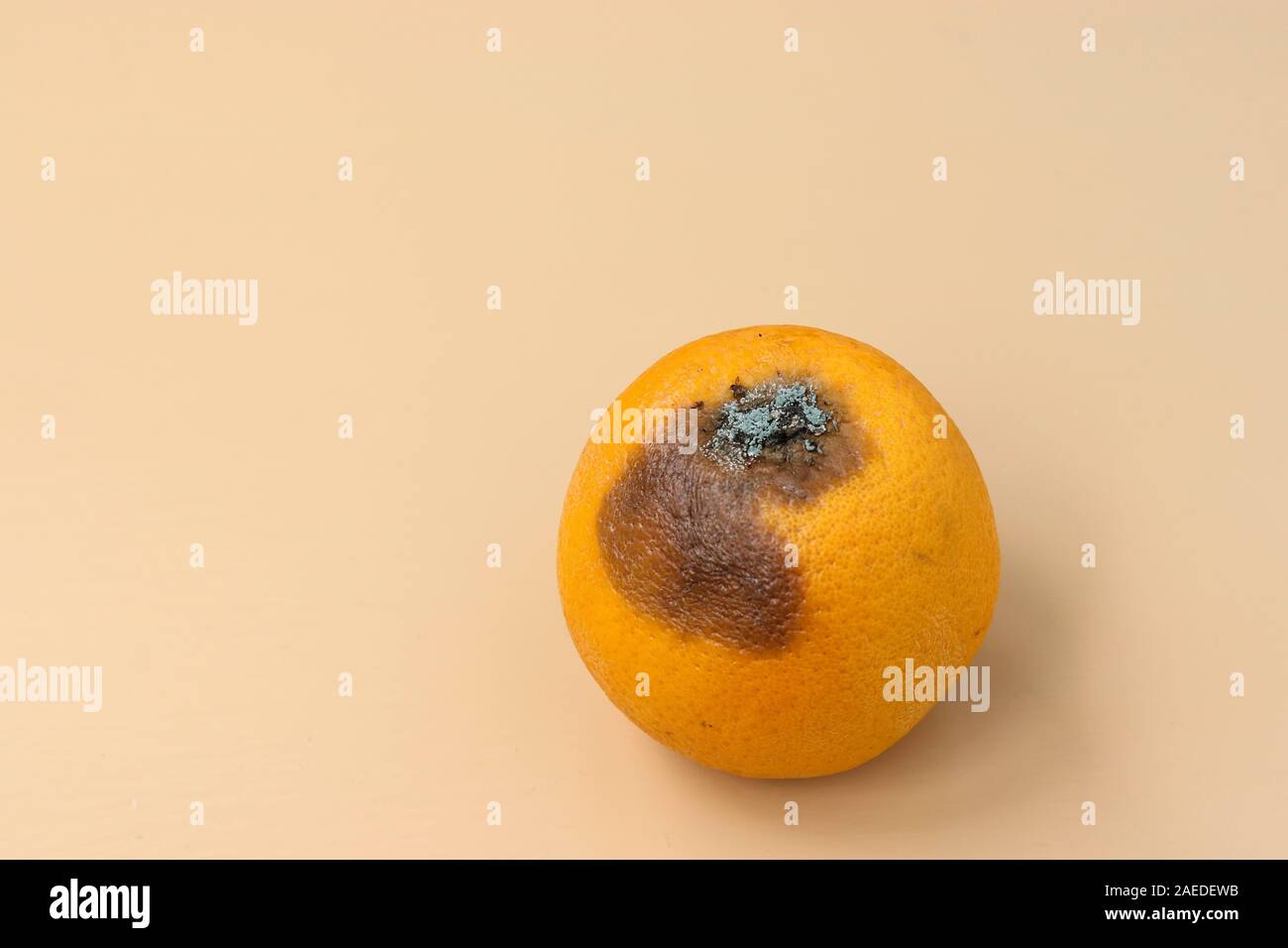 Hässliche orange mit Schimmel auf hellen Hintergrund, Nahaufnahme, horizontale Ausrichtung, Hässliches Essen consept Stockfoto