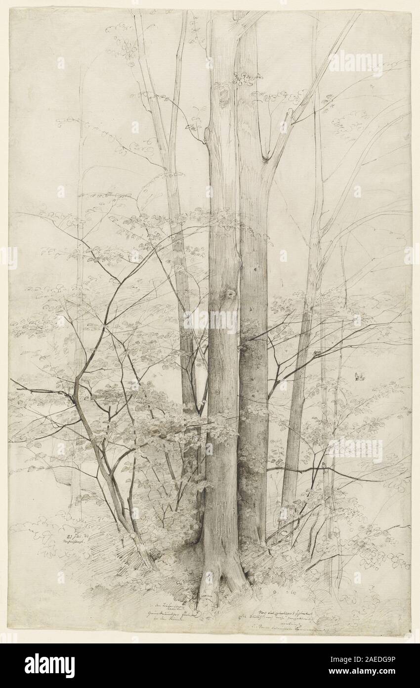 Ein 1840 von Heinrich Dreber geschaffenes Landschaftsbild mit einem Baumbestand. Die Arbeit zeigt mehrere Bäume, Laub, Lichteffekte und naturalistische Komposition und veranschaulicht deutsche Landschaftsmalerei und Plein-Air-Techniken aus der Mitte des 19. Jahrhunderts. Stockfoto