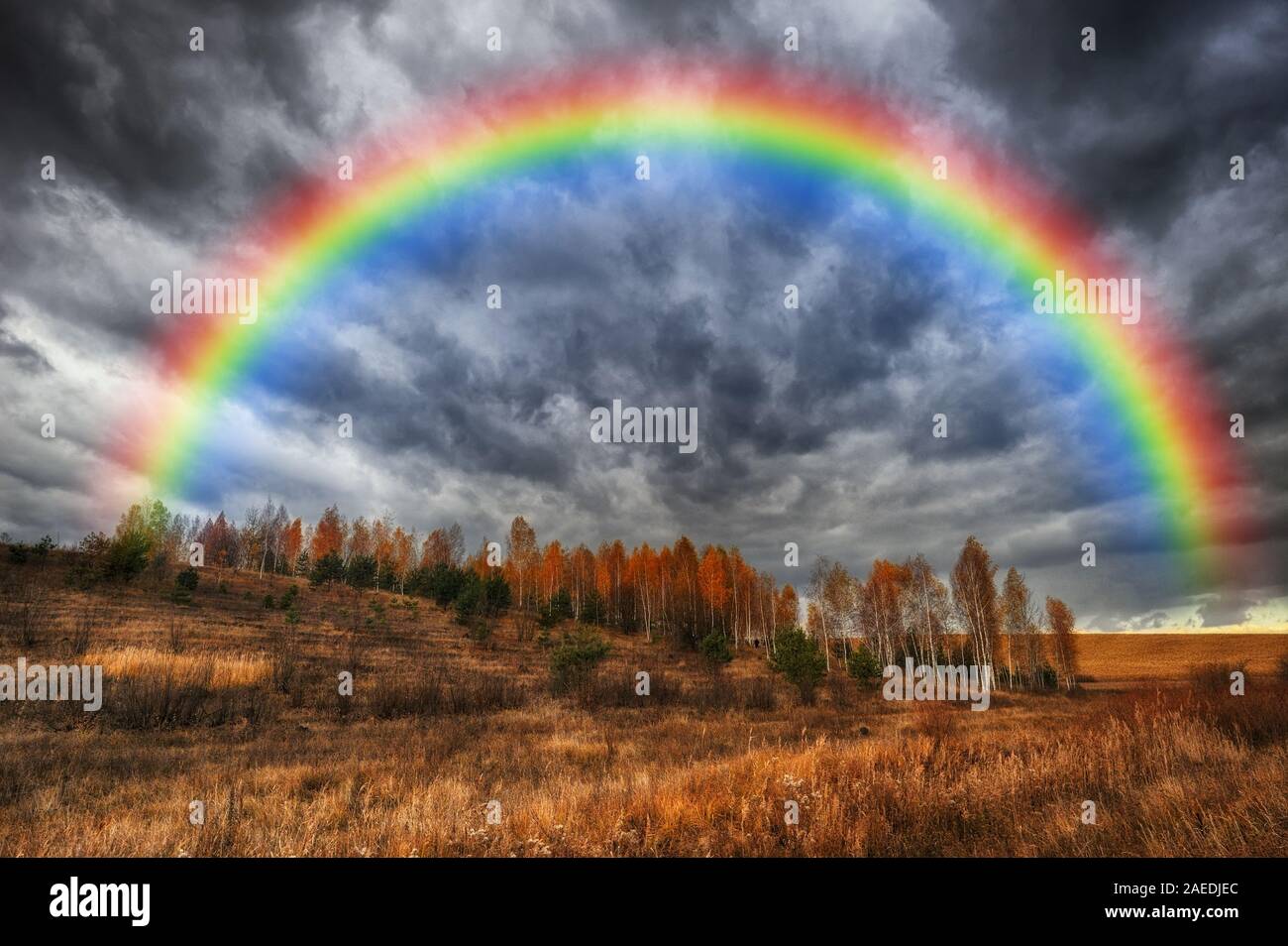 Regenbogen im Feld. malerischen Himmel über ein hügeliges Gebiet. Nach einem Gewitter Stockfoto