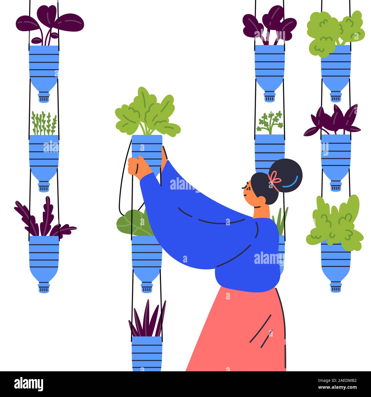 Vertikale garten Konzept. Frau wächst Pflanzen Stock Vektor