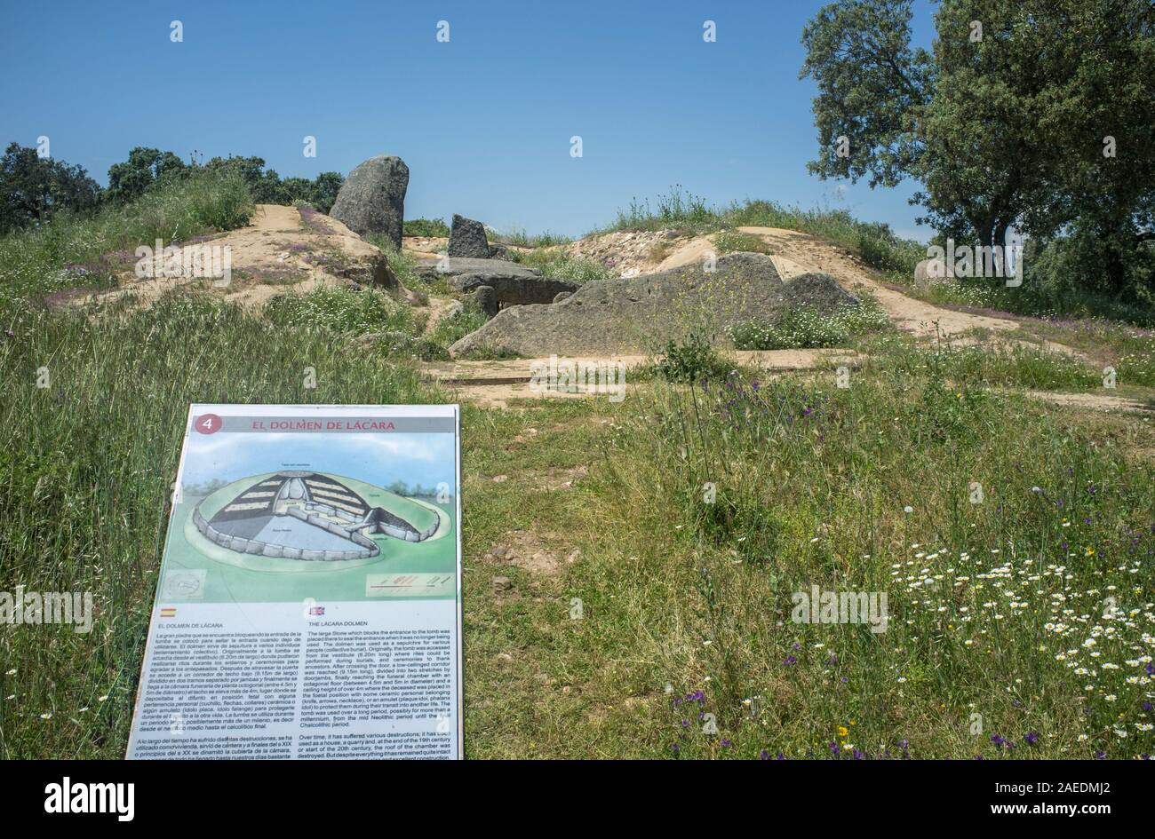 In Merida, Spanien - 6. Mai 2018: Informationen Panel ot Dolmen von Lacara, der größten megalithischen Beerdigung in der Extremadura. Spanien Stockfoto
