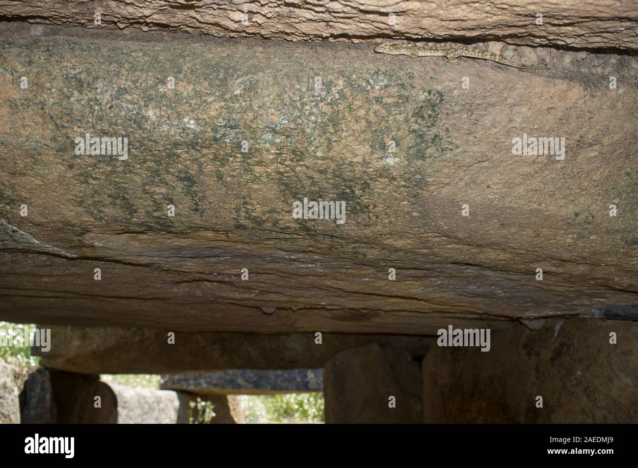 Eidechse im Rahmen horizontaler Schlußstein der Dolmen von Lacara, der größten megalithischen Beerdigung in der Extremadura. Spanien Stockfoto