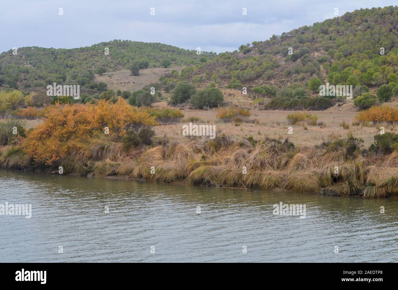 Die odeleite River, einem Nebenfluss des unteren Fluss Guadiana, Süden von Portugal Stockfoto