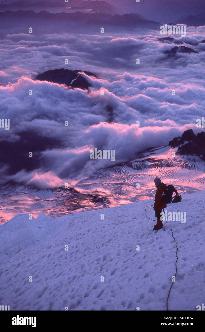 Bergsteiger am Mt. Rainier, Washington Stockfoto