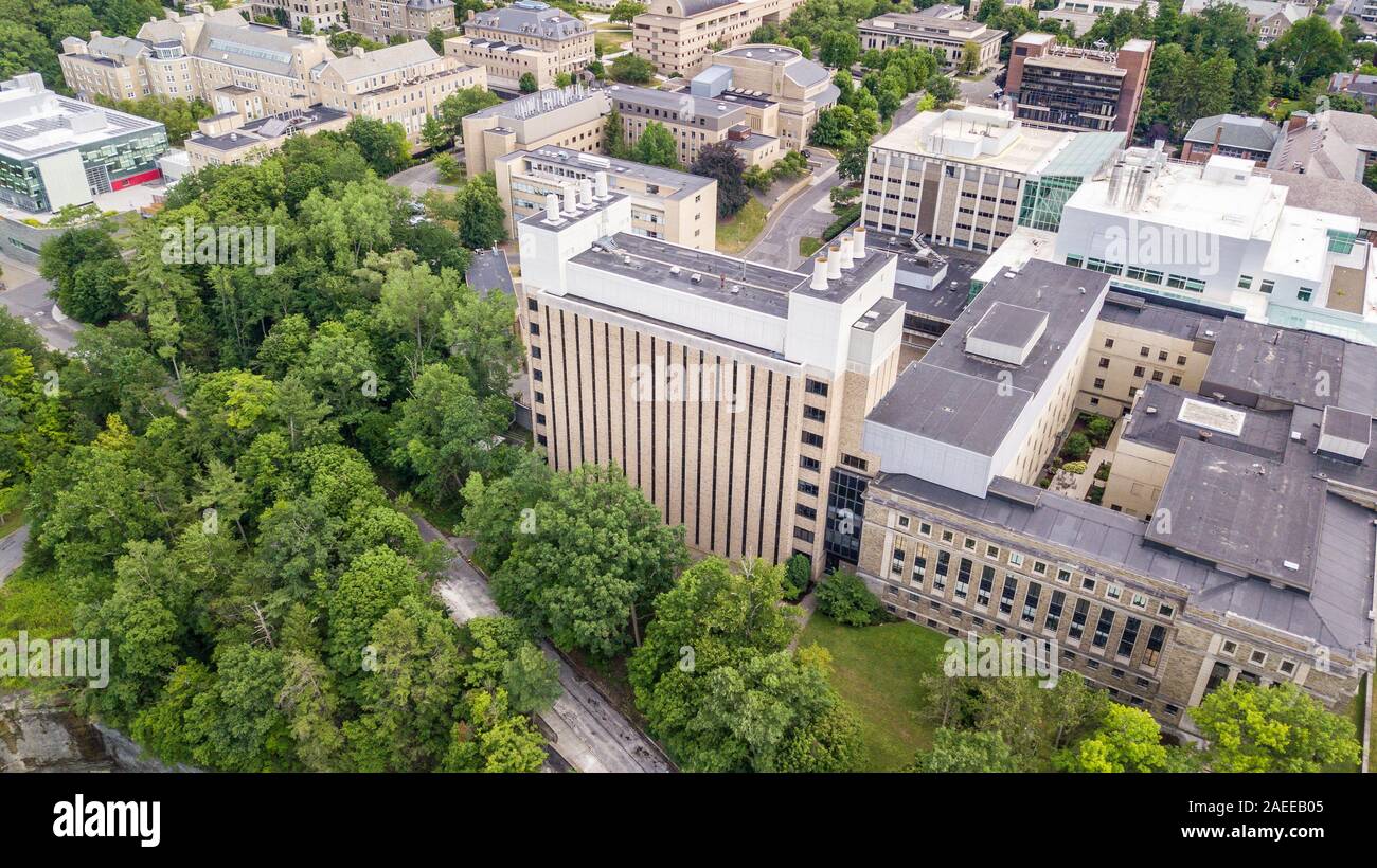 Olin Chemie Research Laboratory, Cornell University, Ithica, NY, USA Stockfoto