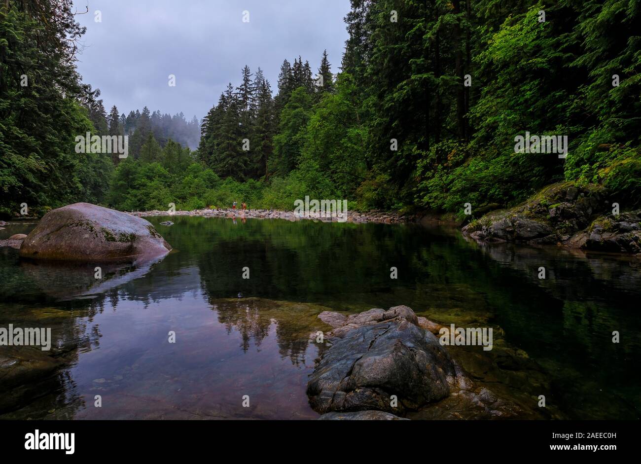 Pinien und bewölkter Himmel in dem kristallklaren Wasser eines Sees reflektieren an einem bewölkten Tag in Lynn Canyon Park Wald in Vancouver, Kanada Stockfoto
