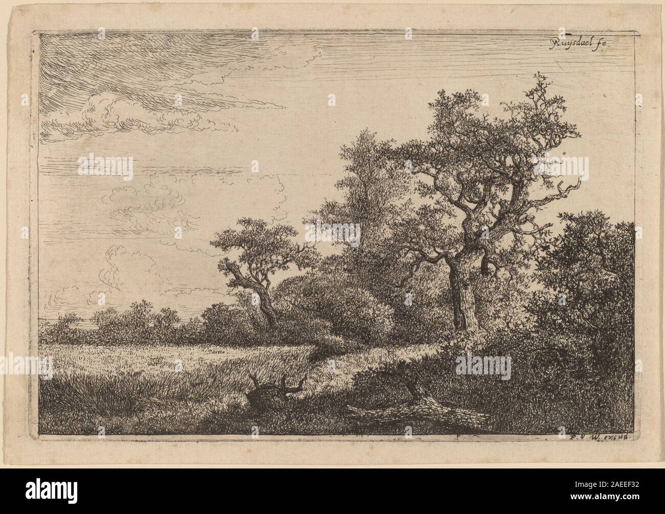 Ein Landschaftsgemälde von Jacob van Ruisdael, das ein Getreidefeld am Waldrand darstellt und landwirtschaftliche Flächen, Bäume, Himmel und naturalistische Details zeigt, die typisch für die Landschaften des niederländischen Goldenen Zeitalters sind. Stockfoto