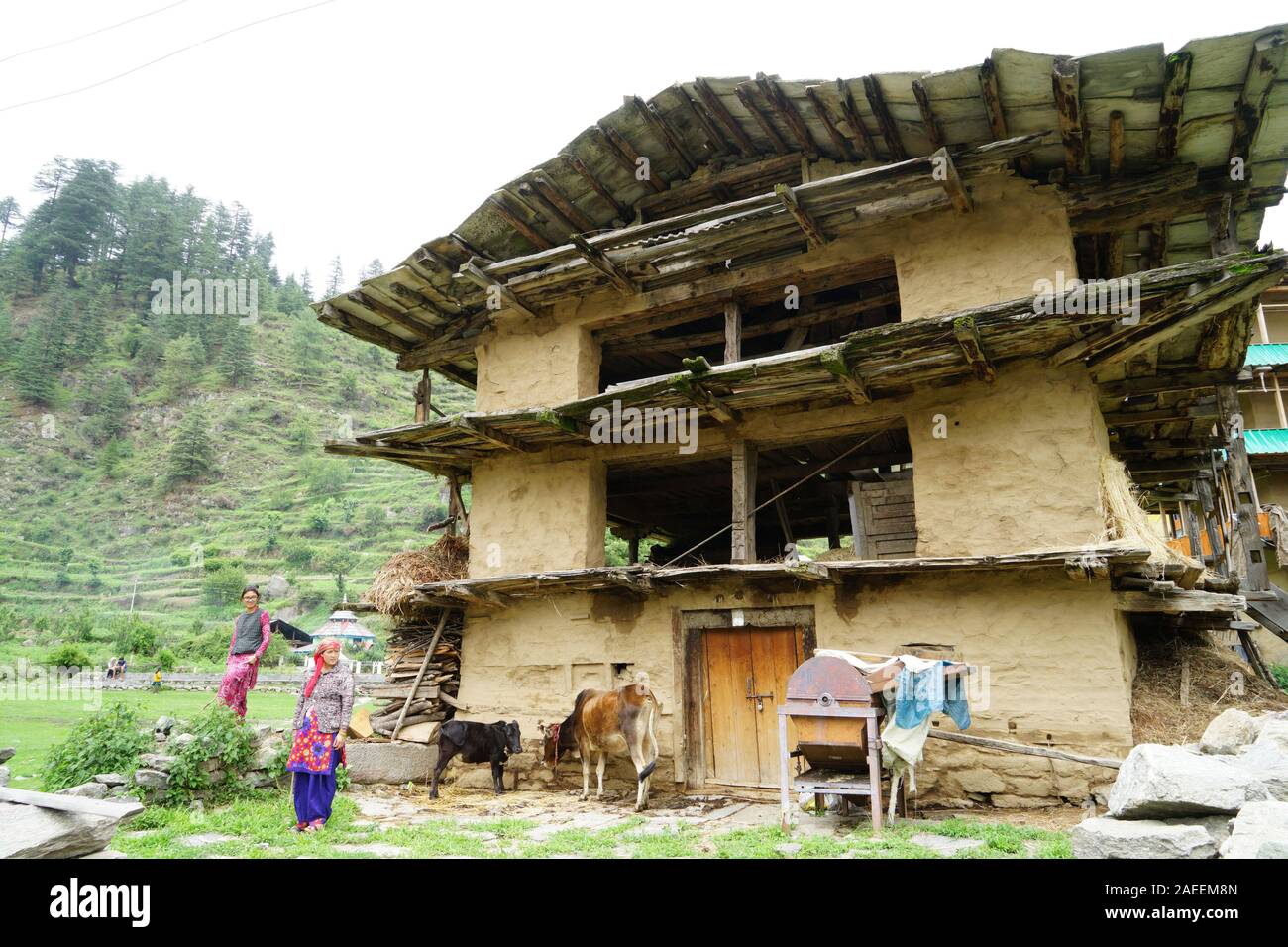Weizen-Haus, Sarchi Dorf, Tirthan Tal, Himachal Pradesh, Indien, Asien  Stockfotografie - Alamy