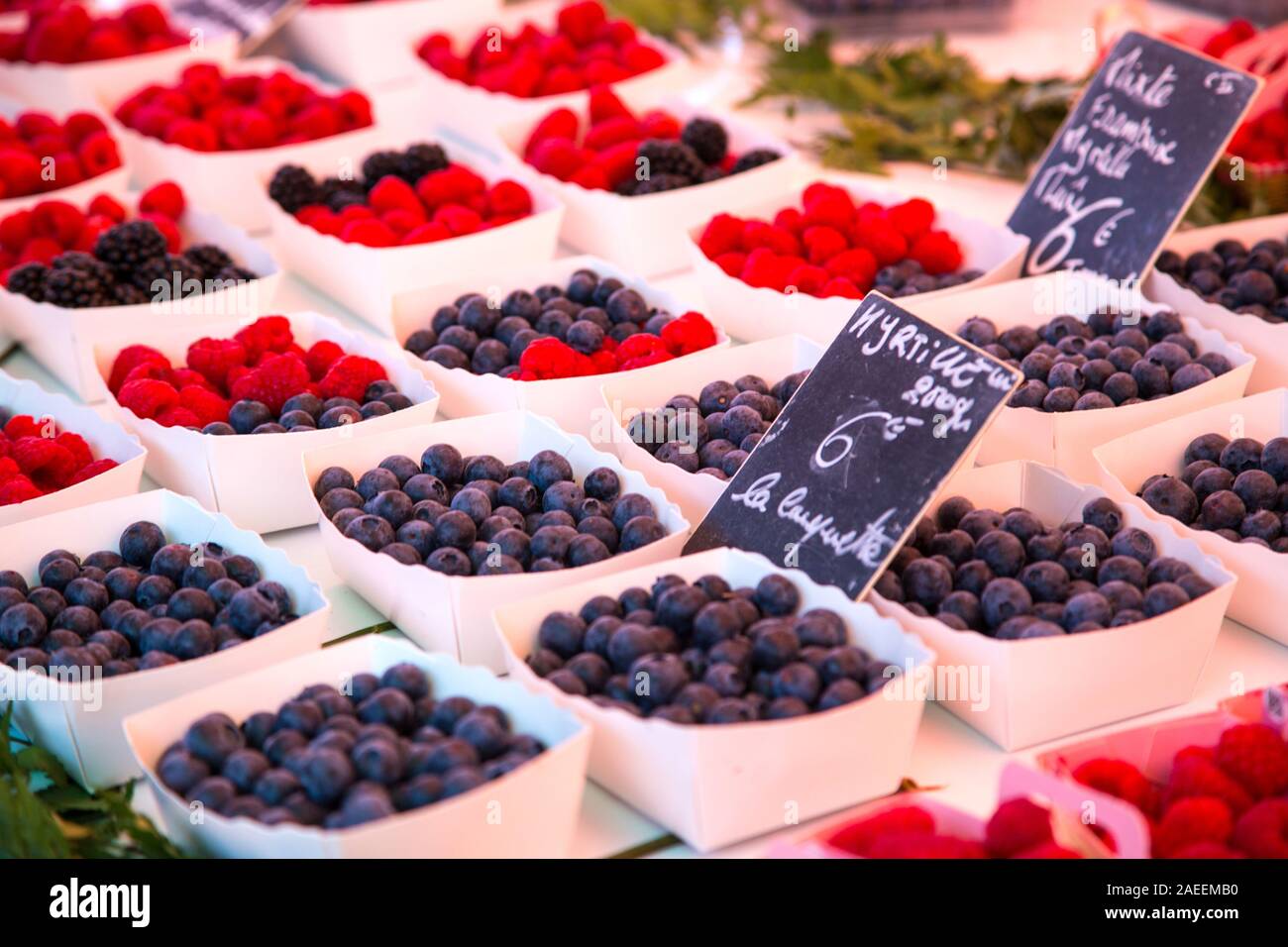 Heidelbeeren und Himbeeren zum Verkauf auf einem Markt in Provence Frankreich angezeigt Stockfoto