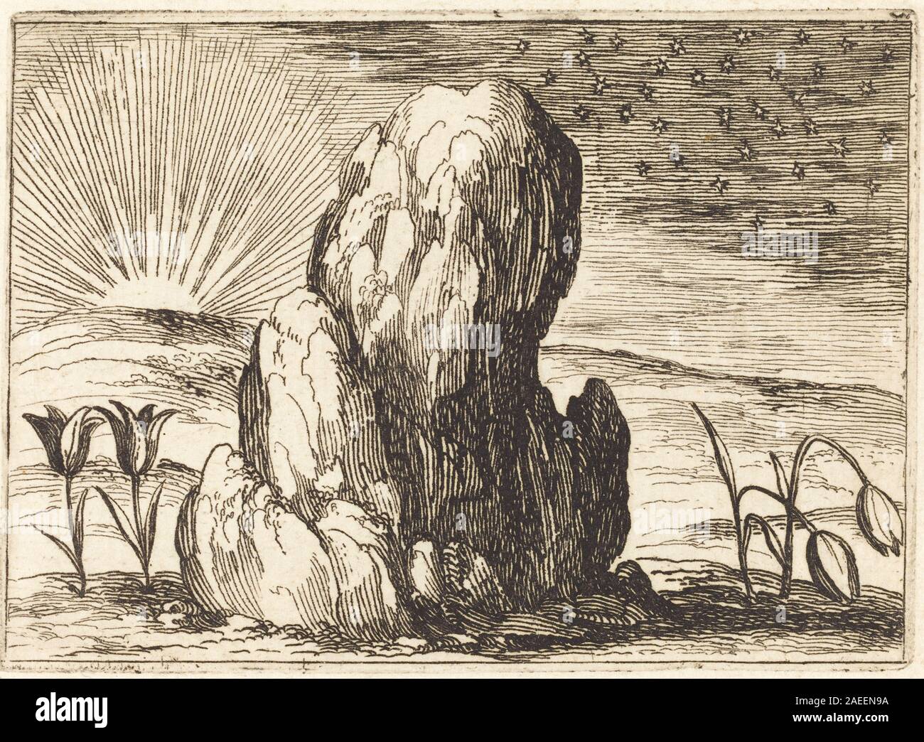 Jacques Callots „die Tulpen und die Sonne“, 1628, zeigt Tulpenblüten unter Sonnenlicht und zeigt botanische Formen, Schattierungen und detaillierte Gravurtechniken in einer naturalistischen Komposition. Stockfoto