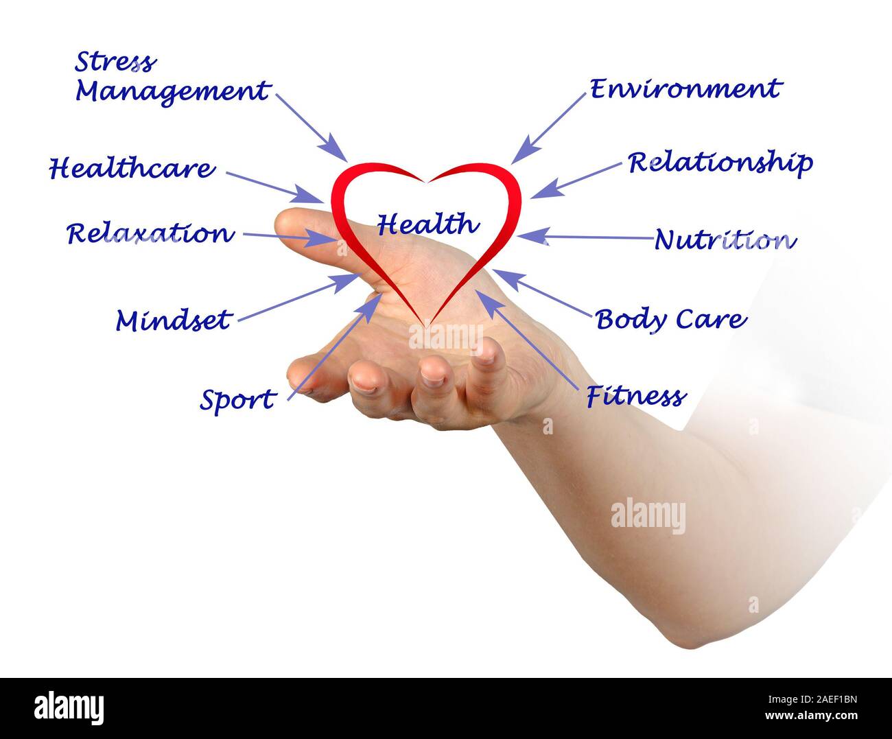 Diagramm der Gesundheit Stockfoto