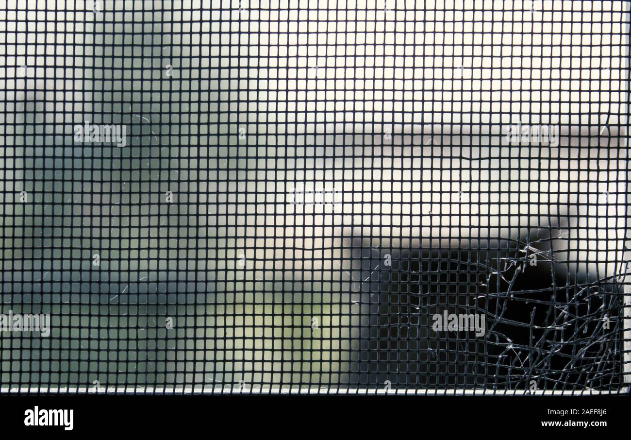 In der Nähe von einem Fenster net für Fliegen, die von einem Verdächtigen Schatten im Hintergrund gesehen zerstört. Stockfoto