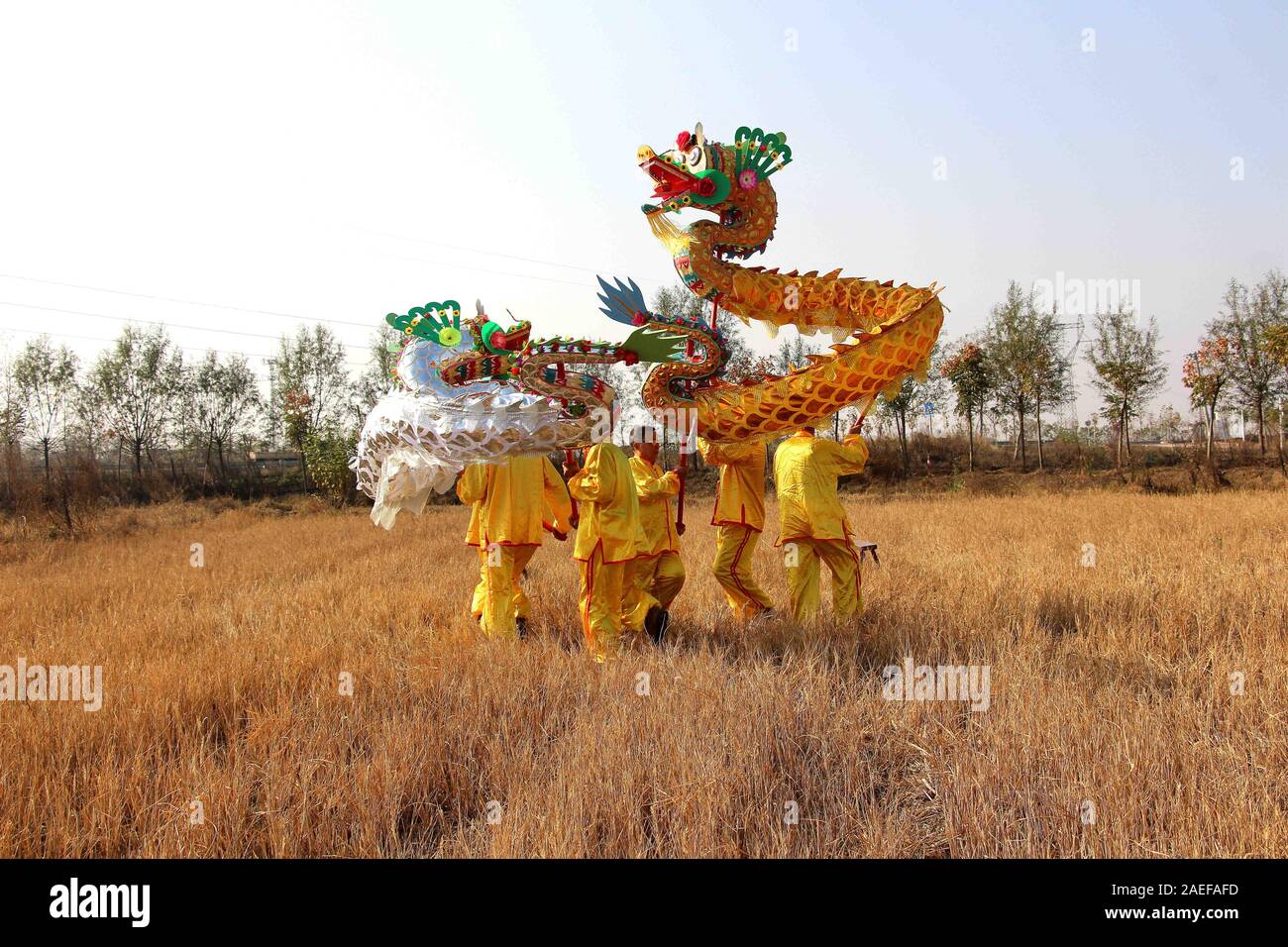 Hubei, Hubei, China. 9 Dez, 2019. Hubei, CHINA - Veteran Künstler Tanz der Drachen in einem Reisfeld nach einer Ernte im Oktober Dorf Yunmeng Wuluo Stadt, Grafschaft, xiaogan Stadt, der Provinz Hubei in Zentralchina, Dez. 3, 2019. Diese Drachen Tänzer sind nicht-genetischen Erben der älteren Gruppe in wuluo Stadt, und sie erben das kulturelle Erbe von ihren Vorfahren. Credit: SIPA Asien/ZUMA Draht/Alamy leben Nachrichten Stockfoto