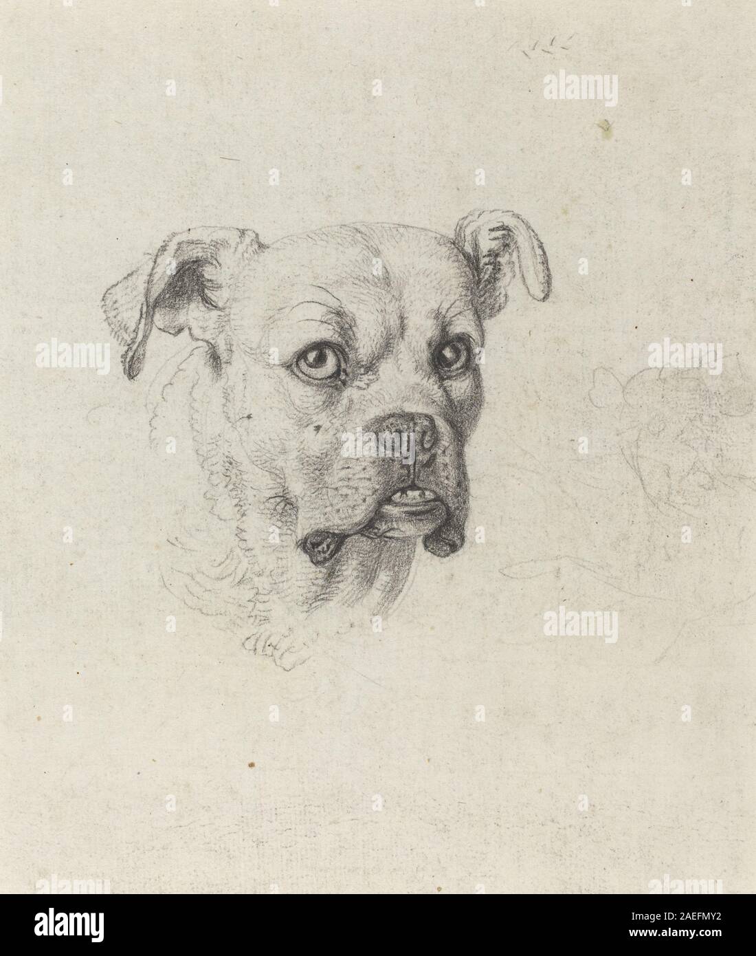 Johann Heinrich Wilhelm Tischbeins um 1795 entstandenes Gemälde „Ein Boxer“ zeigt eine männliche Figur in Boxhaltung und betont Anatomie, Muskulatur, Geste und kompositorische Fokussierung auf das Thema. Stockfoto