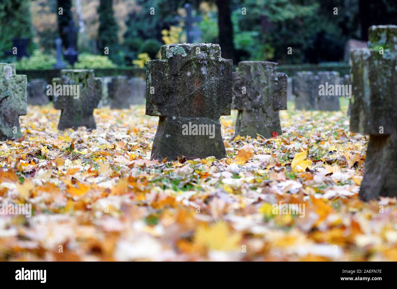 Kreuze auf Gräber von einem Soldatenfriedhof aus dem Zweiten Weltkrieg in der Mitte der gefallenen Blätter im Herbst Stockfoto