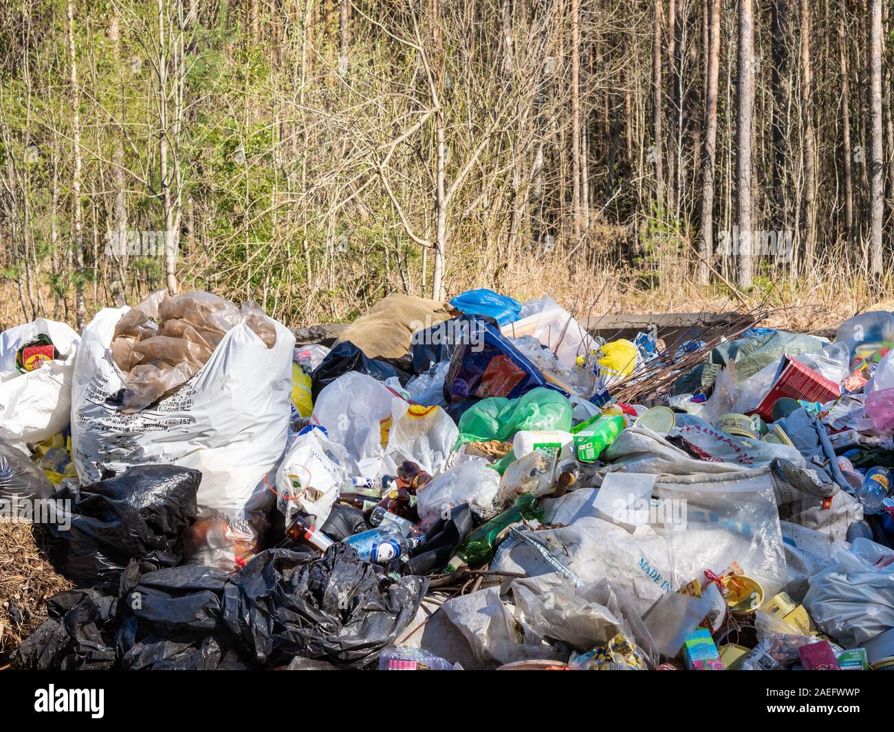 Dump, Müll in der Natur, ökologische Katastrophen in den Wald Stockfoto