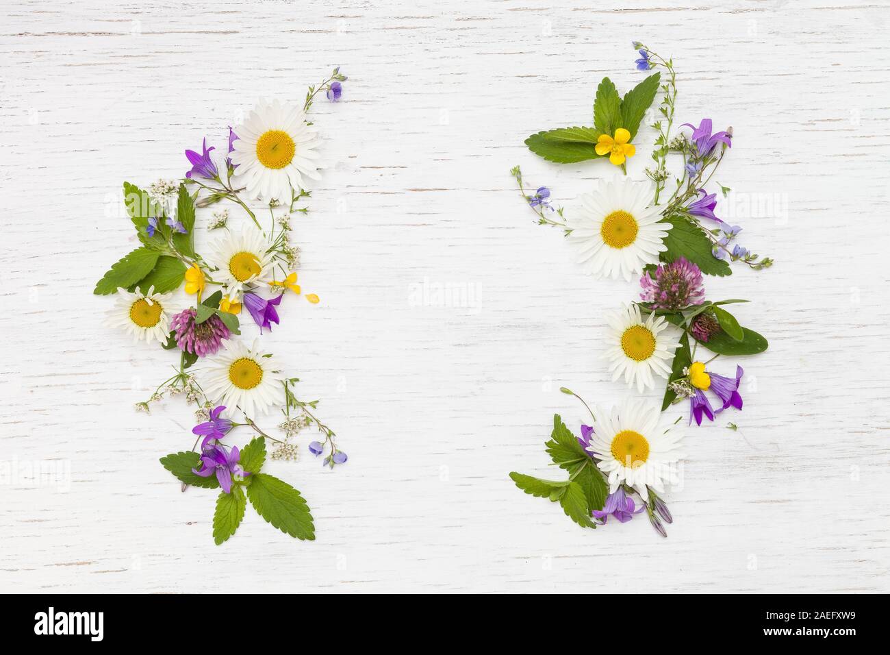 Ansicht von oben auf die schönen wilden Blumen auf weißem Holz- Hintergrund. Frame Kranz. Sommer Blüten, Blätter und Blüten. Klee, Daisy, Bell - Blumen, Forget-me Stockfoto