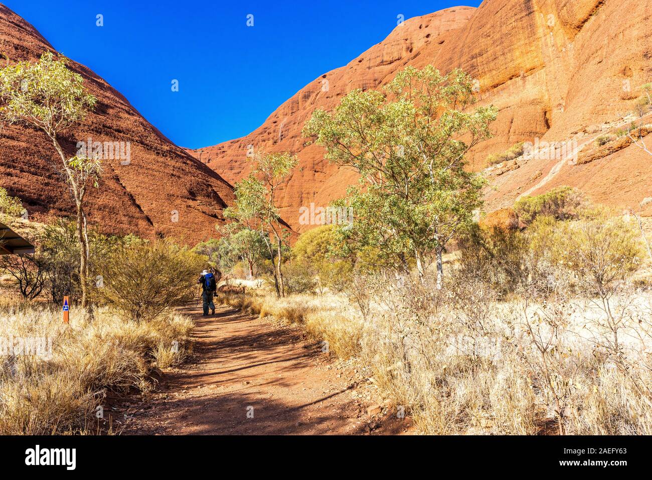 Ein männlicher Wanderer spaziert entlang des berühmten Valley of the Winds Walk in den entlegenen Olgas. Kata Tjuta National Park, Northern Territory, Australien Stockfoto