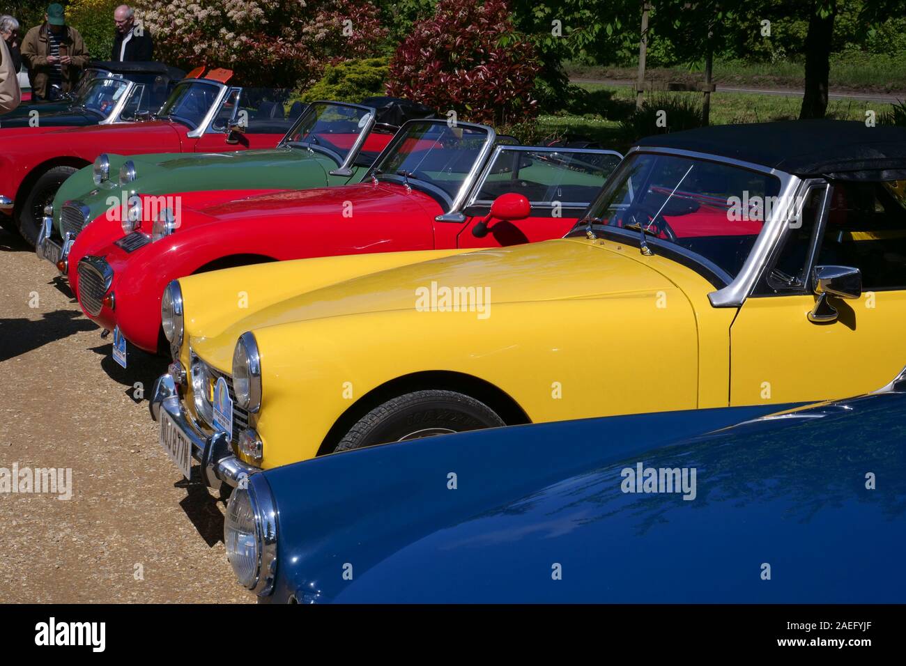 Austin Healy Sprite Stockfoto