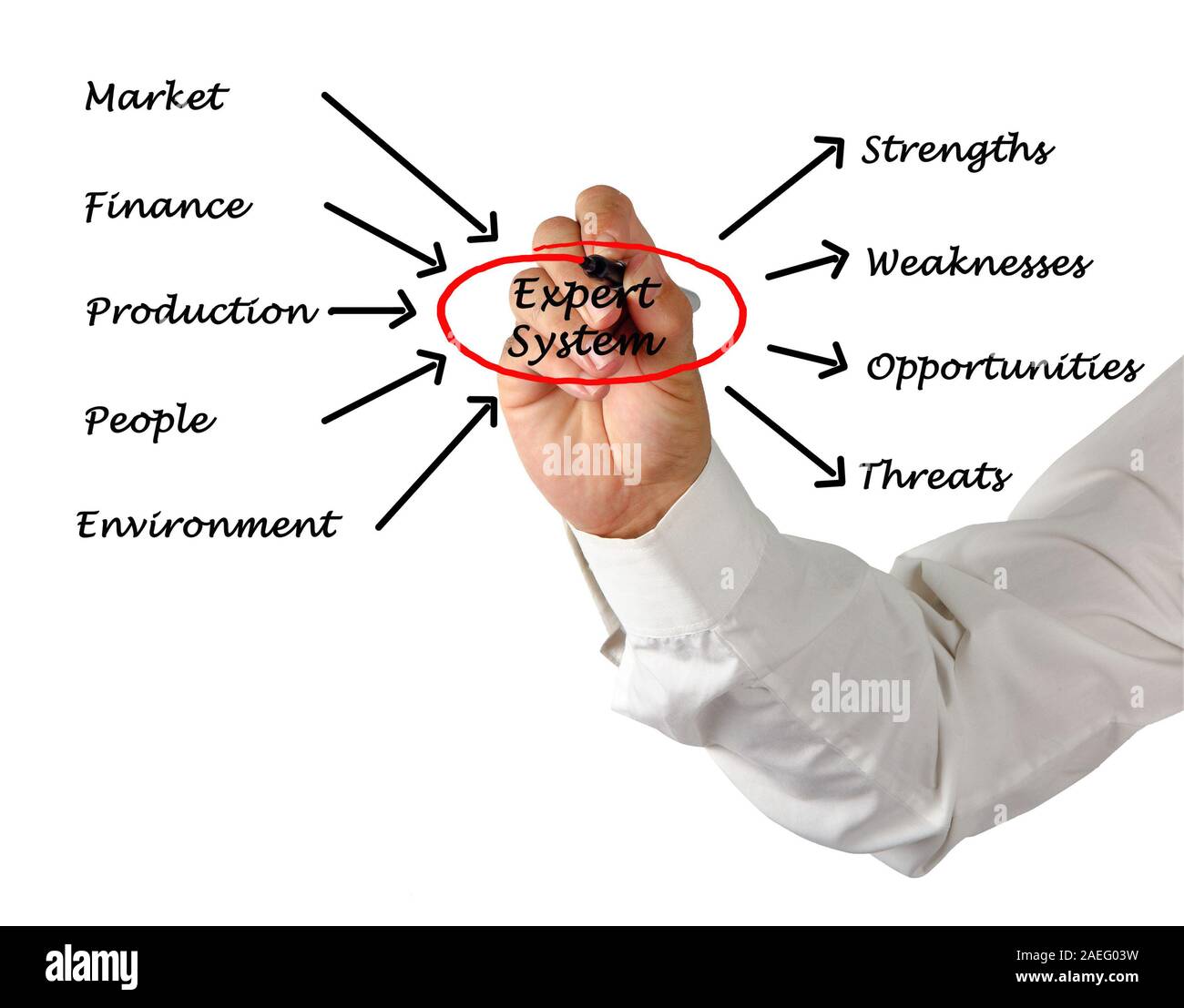 Diagramm der Expert System Stockfoto