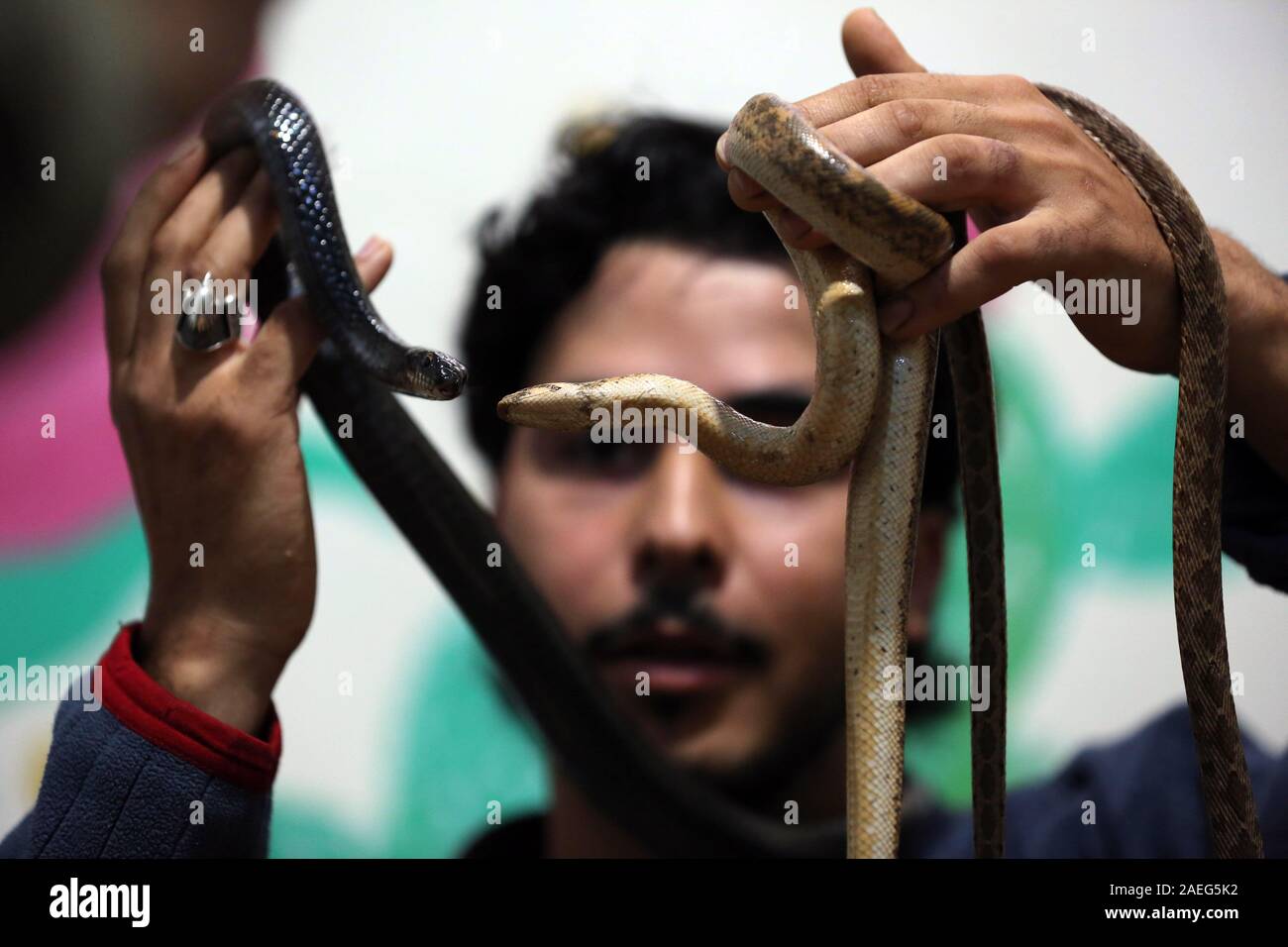 Nuseirat, Gazastreifen, palästinensischen Gebiet. 9 Dez, 2019. Eine palästinensische Jugend Fadel Nabhein posiert für ein Foto mit einer Schlange in seinem Haus in der nuseirat regugee Camp im zentralen Gazastreifen, der am 9. Dezember 2019. Nabhein Rassen und zähmt Falken und Schlangen in seinem Haus und sogar in mummifying einige Tiere, nachdem sie starben wegen Wetter oder Krankheit Kredit: Ashraf Amra/APA-Images/ZUMA Draht/Alamy Leben Nachrichten gelungen Stockfoto