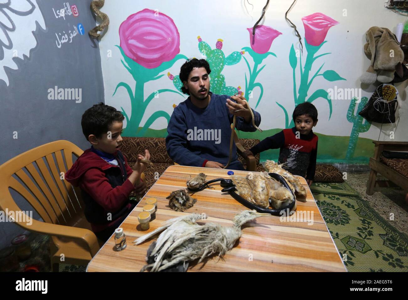 Nuseirat, Gazastreifen, palästinensischen Gebiet. 9 Dez, 2019. Eine palästinensische Jugend Fadel Nabhein posiert für ein Foto mit einer Schlange in seinem Haus in der nuseirat regugee Camp im zentralen Gazastreifen, der am 9. Dezember 2019. Nabhein Rassen und zähmt Falken und Schlangen in seinem Haus und sogar in mummifying einige Tiere, nachdem sie starben wegen Wetter oder Krankheit Kredit: Ashraf Amra/APA-Images/ZUMA Draht/Alamy Leben Nachrichten gelungen Stockfoto