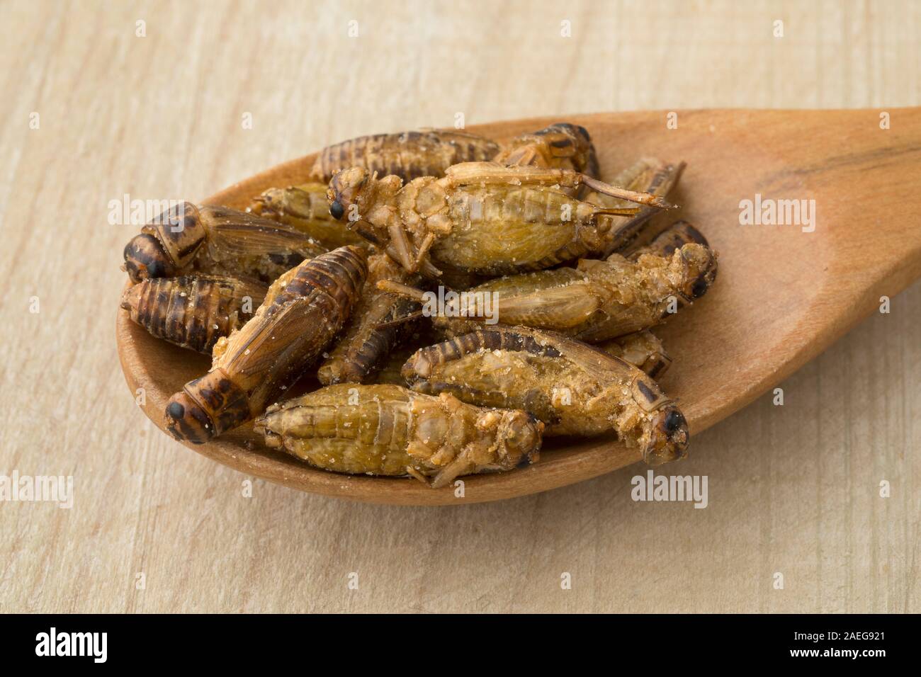 Löffel aus Holz mit knusprigen kleine Heimchen für einen Snack Stockfoto