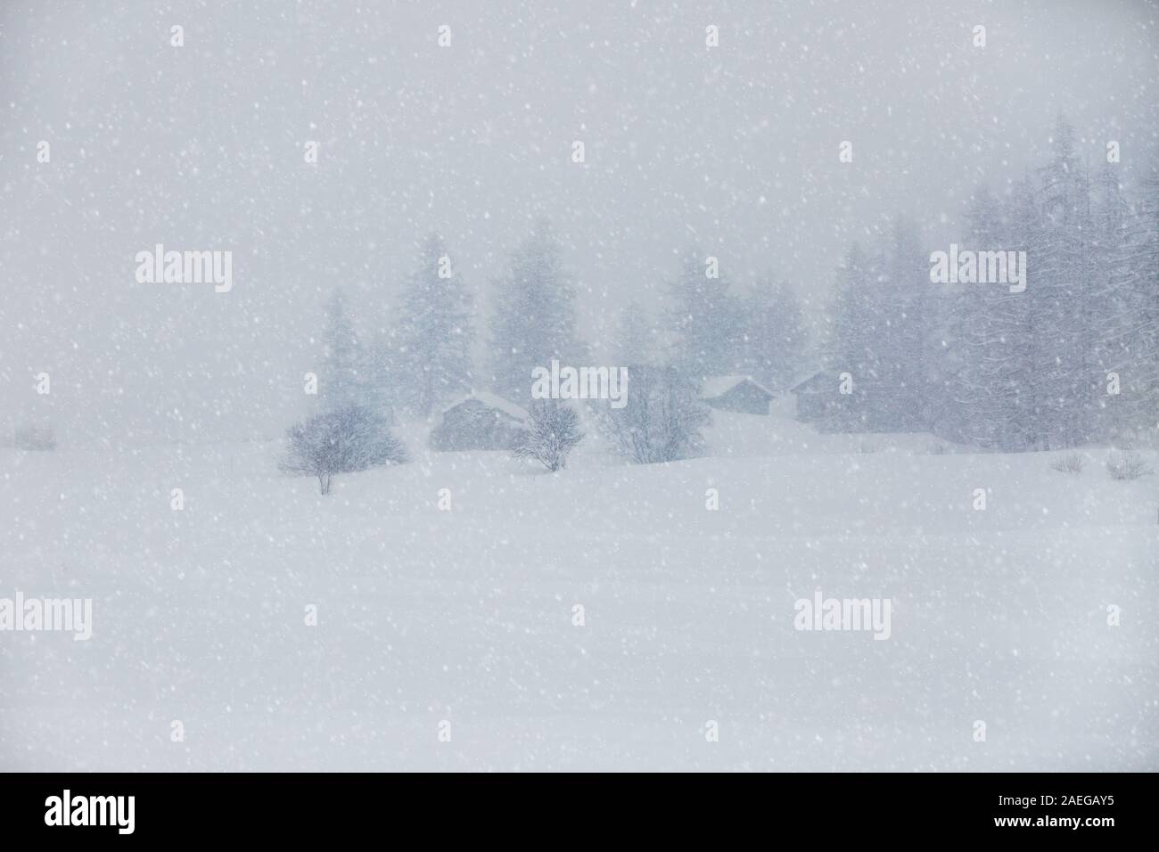 Winter Landschaft während einer sehr starker Schneefall. Starker Schneefall in den Alpen. Stockfoto