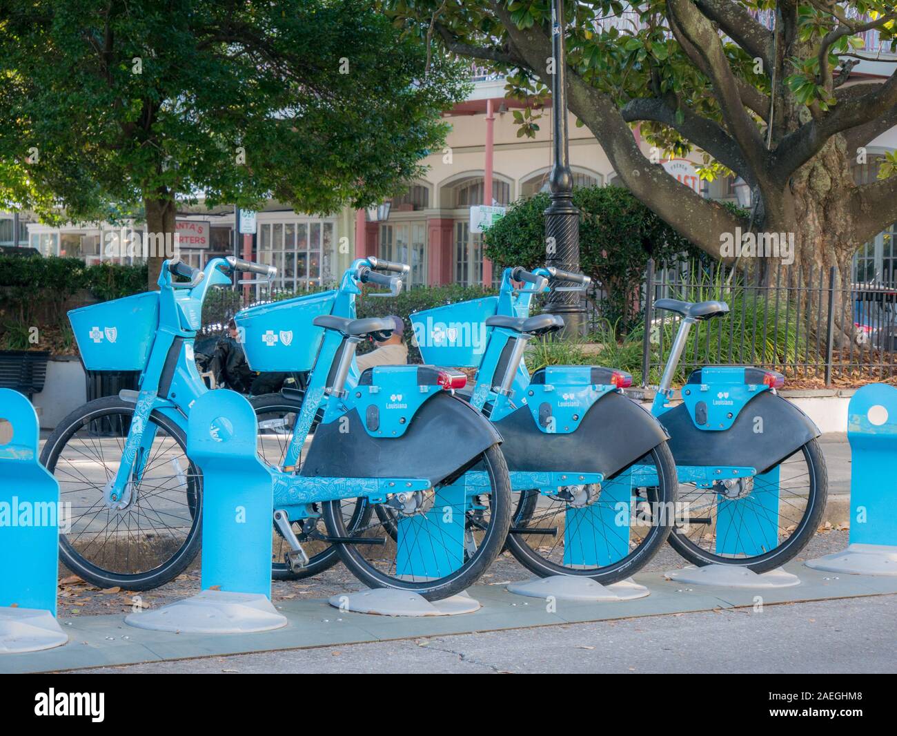 pix Audubon Park New Orleans Bike Rental alamy