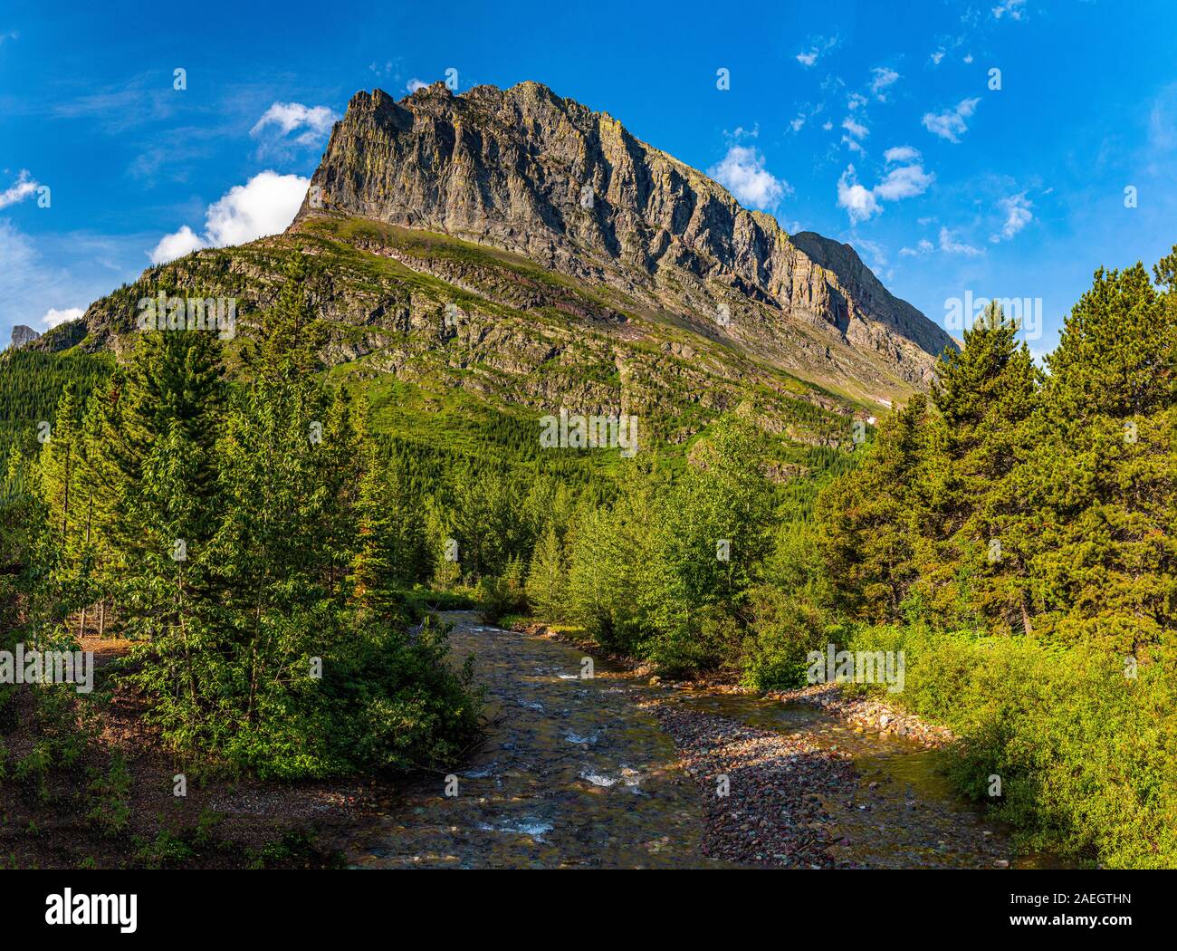 Grinnell Punkt gesehen von Wilbur Creek auf der Continental Trail im Many Glacier Bereich des Glacier National Park in Montana unterteilen. Stockfoto