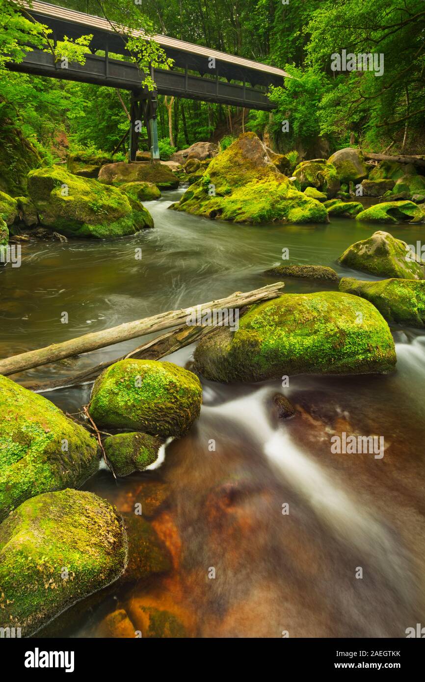 Eine gedeckte Holzbrücke über einen Fluss in üppigen Wald in der Nähe von Irrel, Deutschland. Stockfoto