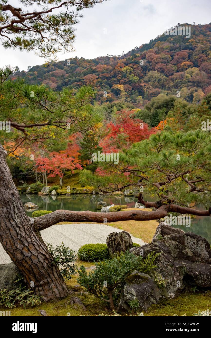 Blick auf den Garten und den See mit Herbstfarben, ursprünglich erstellt von Musō Soseki, der Tenryū-ji Zen-buddhistischen Tempel, Kyoto, Japan Stockfoto
