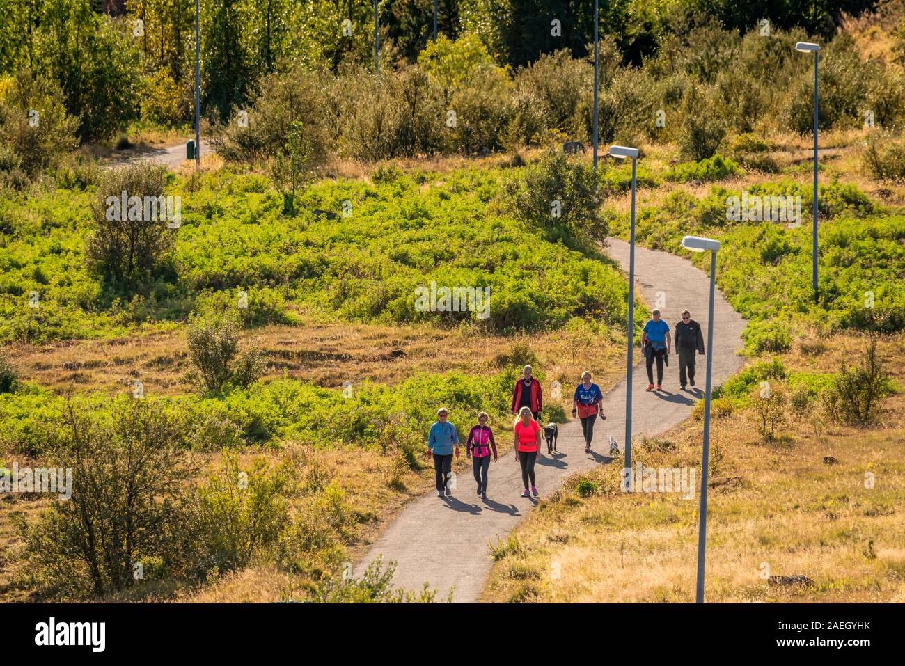 Tag Sommer, Leute auf Wanderweg, Hafnarfjordur, Island Stockfoto