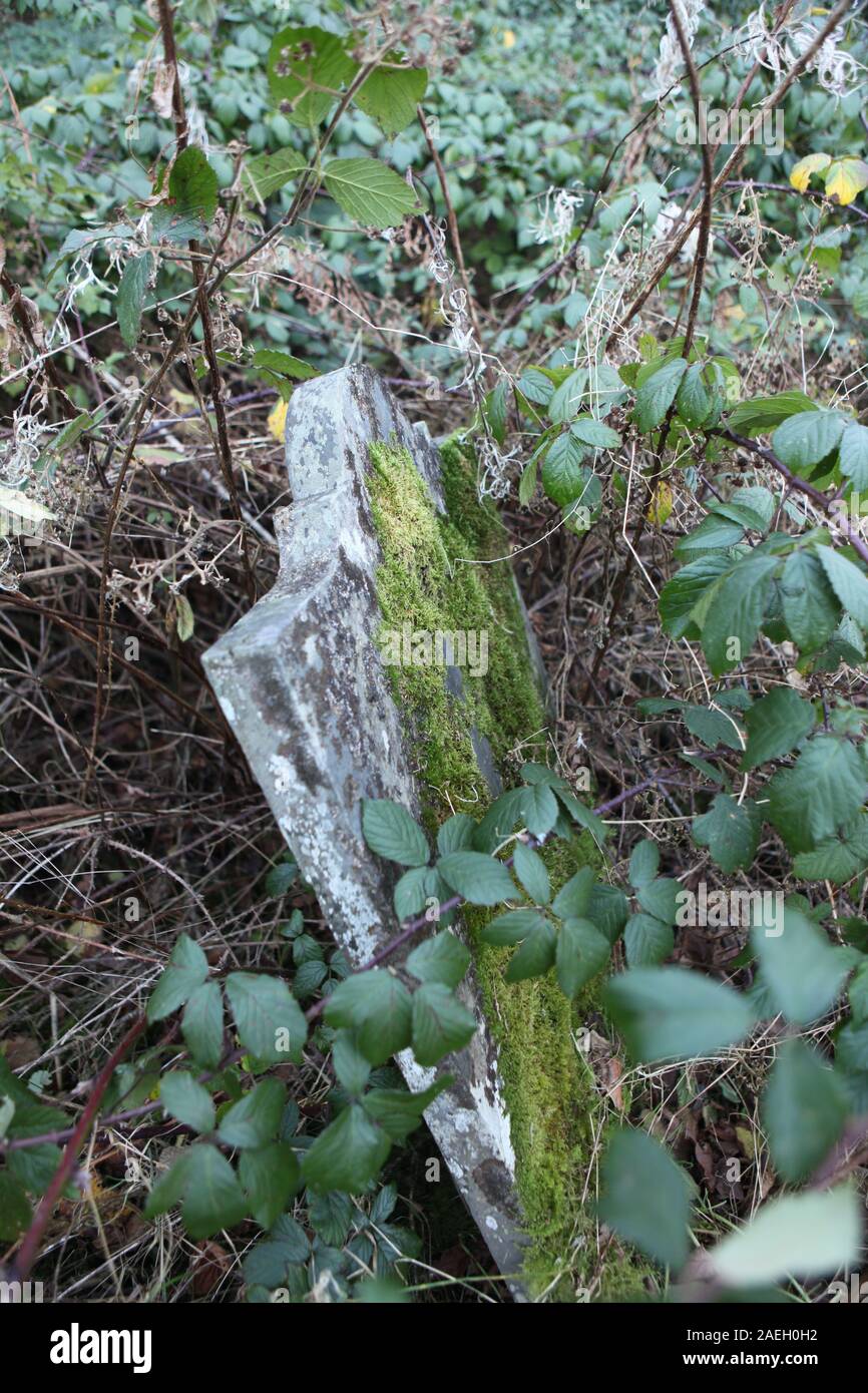 Überwachsenen Grabstein in Kirchhof der verlassenen Kirche, Wales Stockfoto